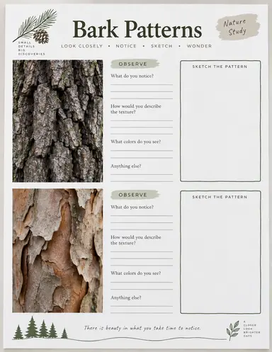 A bark-pattern worksheet with two photographic texture panels and blank observation and drawing spaces.