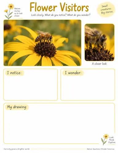 A flower visitor worksheet showing a bee on a yellow flower with observation and question boxes.