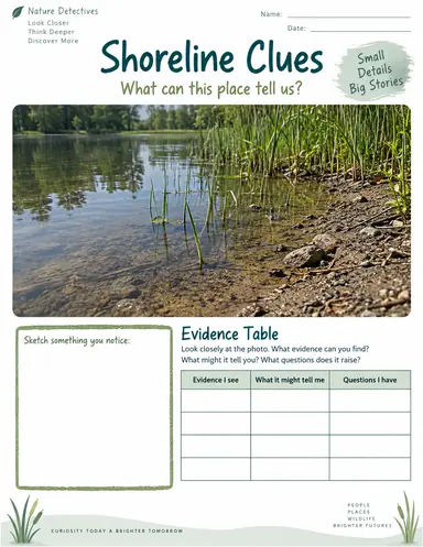 A shoreline observation worksheet with a pond-edge photograph, an empty evidence table, and a drawing frame.