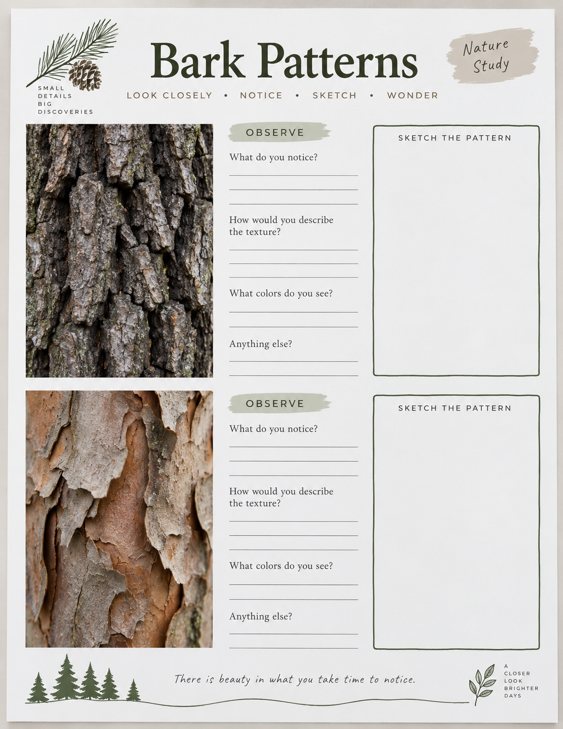A bark-pattern worksheet with two photographic texture panels and blank observation and drawing spaces.