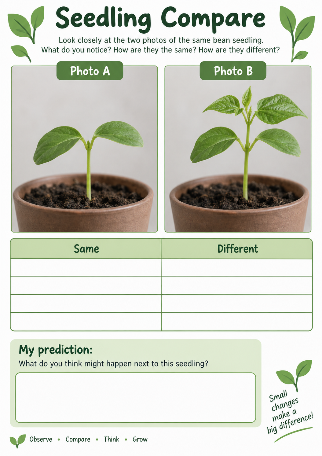 A seedling comparison worksheet with two plant photographs, blank comparison rows, and a prediction box.
